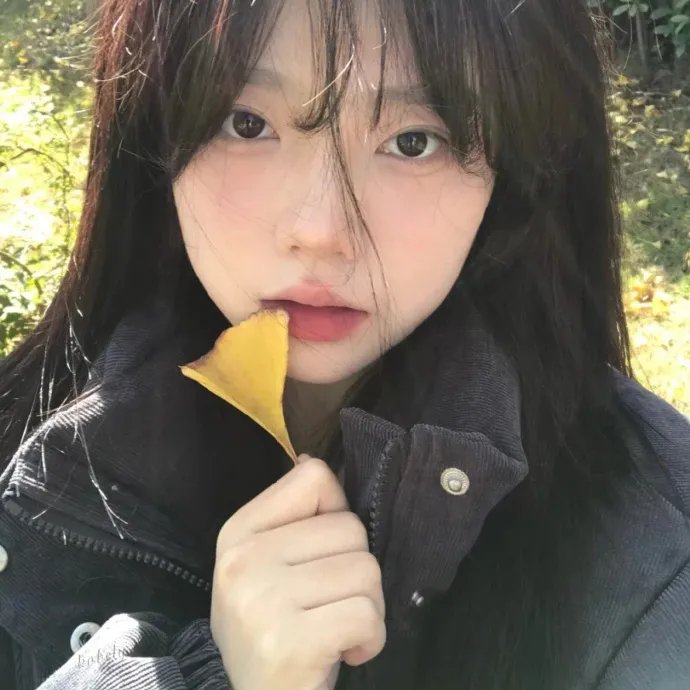 最大的漫游者